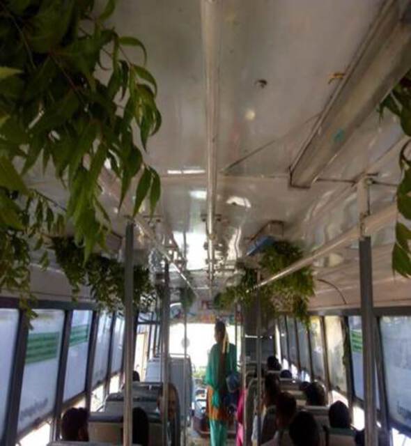 Photo of the interior of a bus decked with neem leaves.