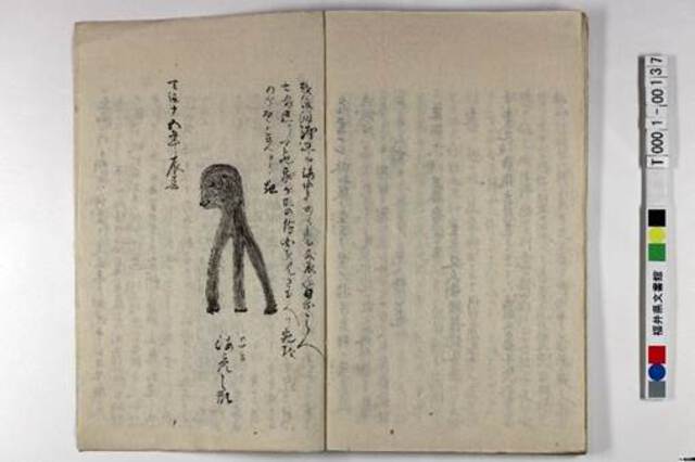 Photo of drawing of an Amabiko and Japanese handwriting on a book page.