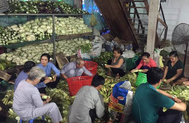 A group of people are sitting on the floor or stools processing piles of corn, cabbage, and other vegetables