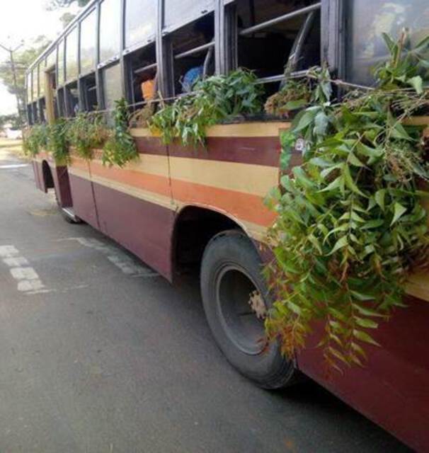 Photo of the exterior of a bus decked with neem leaves.